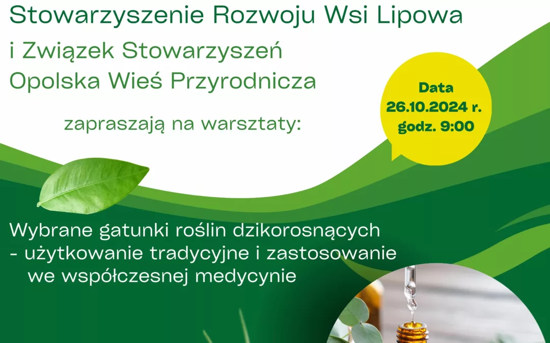 Warsztaty – rośliny dzikorosnące w medycynie 26.10.2024 r.